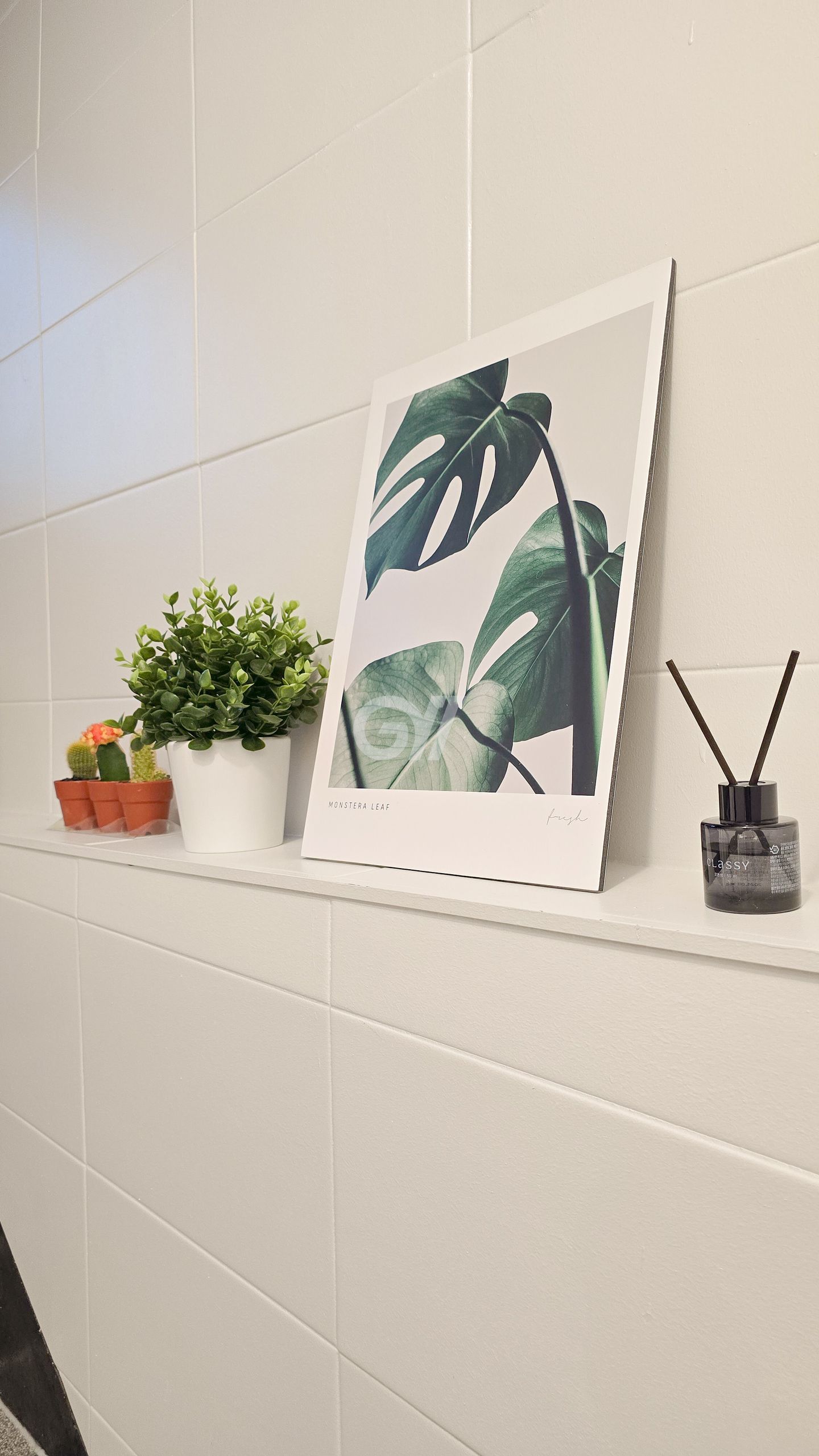 house_image_8