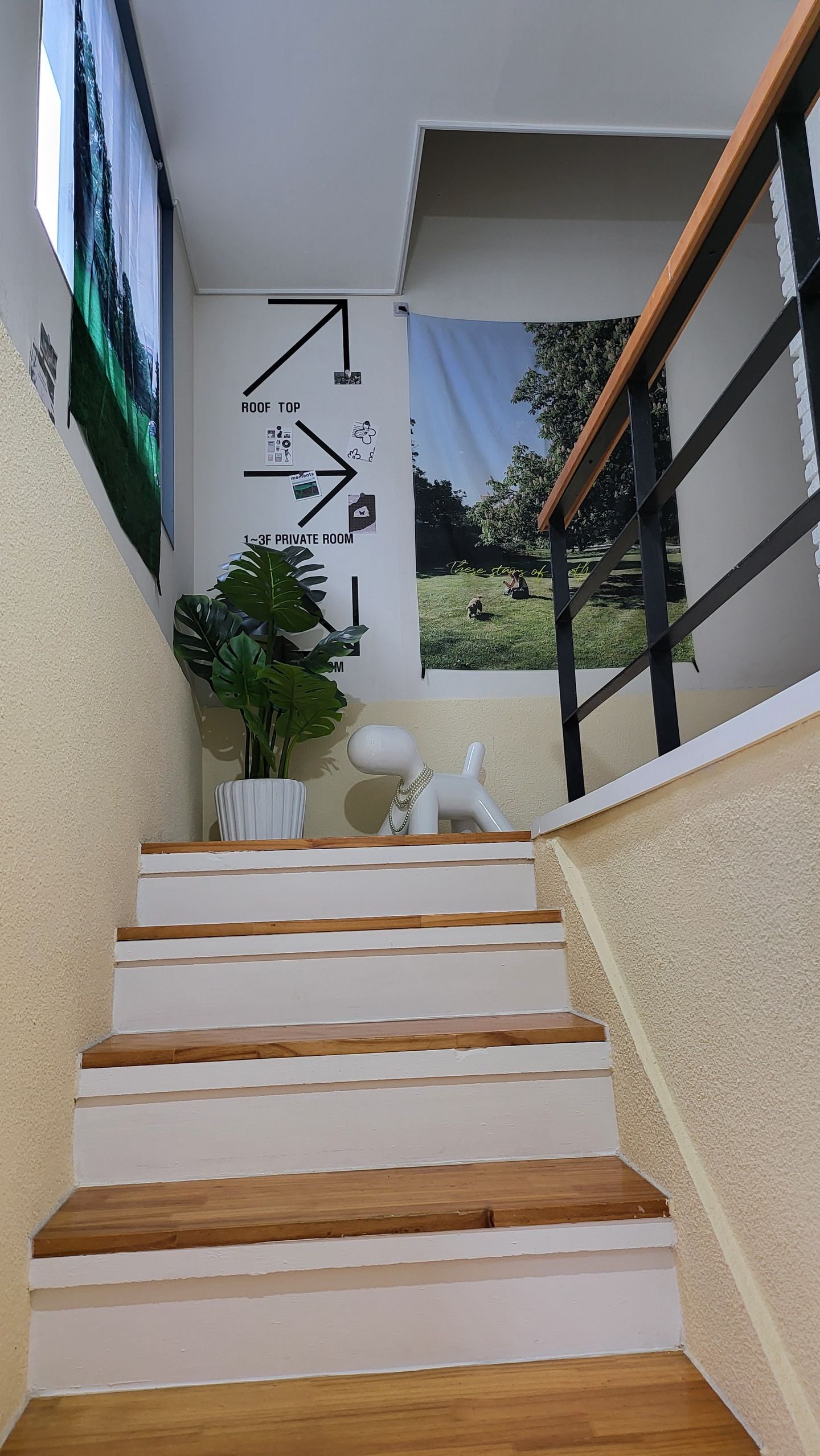 house_image_11