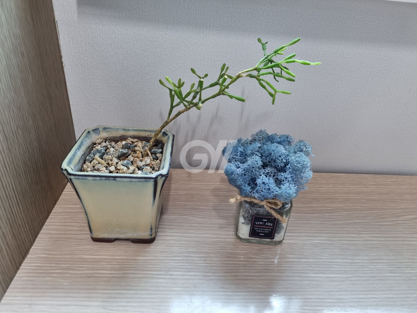 house_image_11