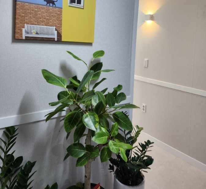 house_image_2
