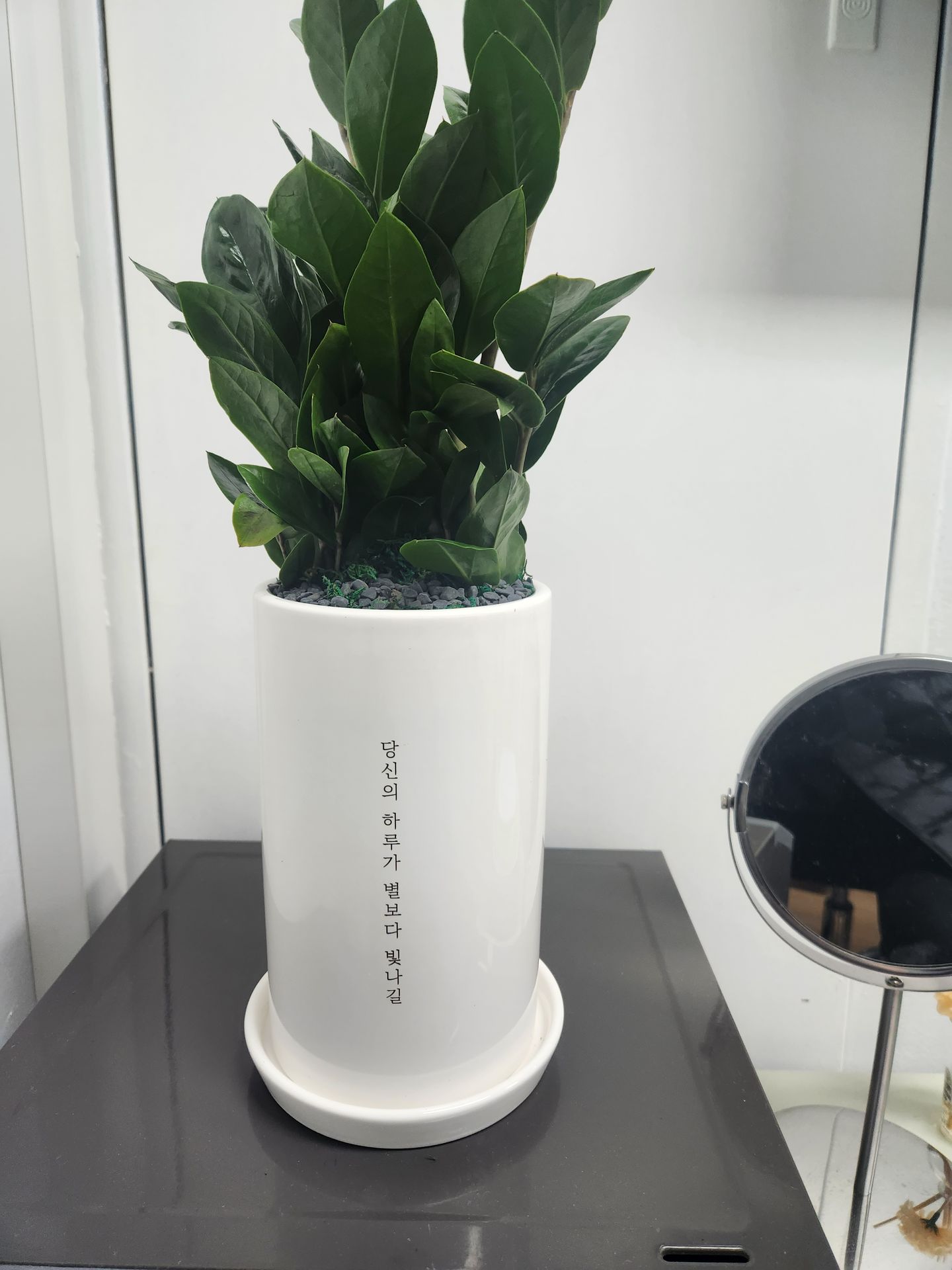 house_image_24